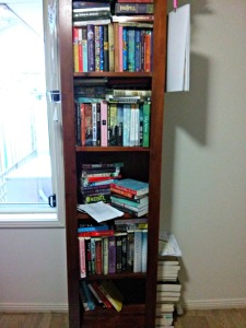 tall bookshelf